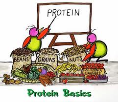 پروتئین ها و دیابت